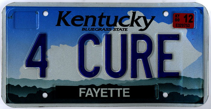 Car  License Tag - Kentucky (4 CURE)