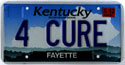1/1/2000 Car  License Tag - Kentucky (4 CURE)