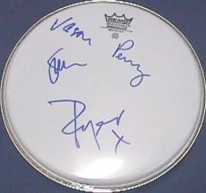 Drum Head (Jason, Roger, Simon, Perry)