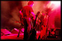 Band Live #8