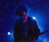 Robert Live #16 Series F